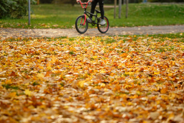 Lawn in a park covered with beautiful yellow and orange fallen autumn leaves with an adolescent...