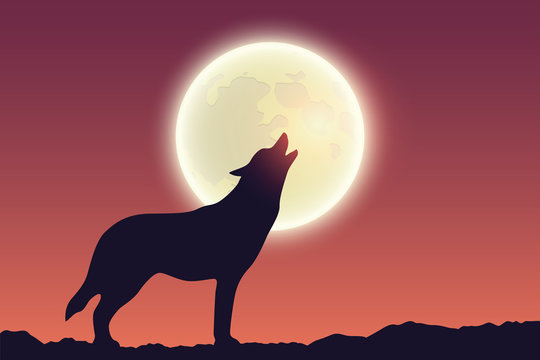 wolf howls at full moon silhouette vector illustration EPS10
