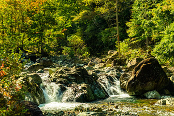 兵庫県・初秋の福知渓谷近傍