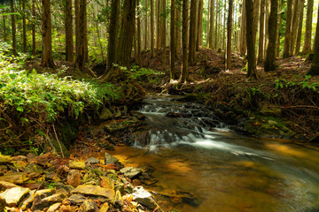 兵庫県・初秋の福知渓谷近傍