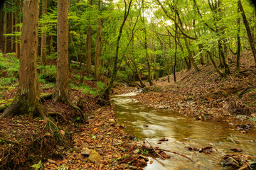 兵庫県・初秋の福知渓谷近傍