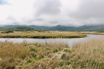 Wilson Promontory National Park, Victoria, Australia