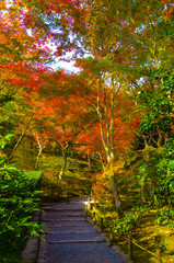 Autumn season in Japan