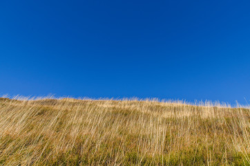trawy na połoninach bieszczady © wedrownik52