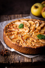 Homemade delicious fresh baked rustic apple pie on dark background