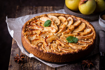 Homemade delicious fresh baked rustic apple pie on dark background