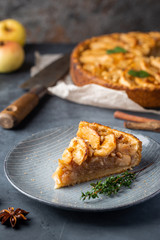 Slice of homemade delicious fresh baked Rustic Apple Pie on gray backgrounf