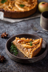 Slice of homemade delicious fresh baked Rustic Apple Pie on gray backgrounf