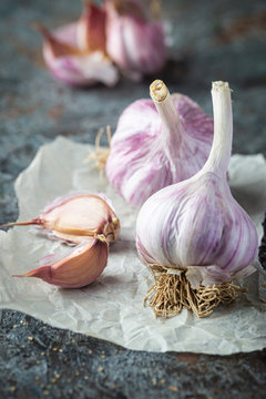 Organic garlic bulbs with garlic cloves on paper over gray stone background
