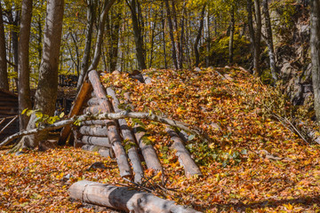 Dugout (or dug-out, pit-house, earth lodge, cellar dug) from logs in autumn forest. Traditional shelter for humans and livestock based on hole  into ground. Natural historical museum of dugouts