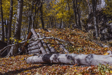 Dugout (or dug-out, pit-house, earth lodge, cellar dug) from logs in autumn forest. Traditional shelter for humans and livestock based on hole  into ground. Natural historical museum of dugouts. Toned