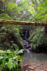 Obraz premium 伊尾木洞