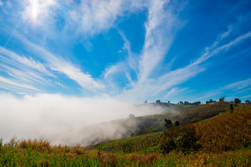 Beautiful with sky and sea mist in Doi inthanon national park, Thailand