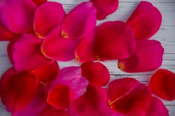 Fototapeta na wymiar rose petals on a light wooden background. Looks like a background