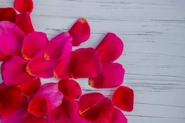 rose petals on a light wooden background. Looks like a background