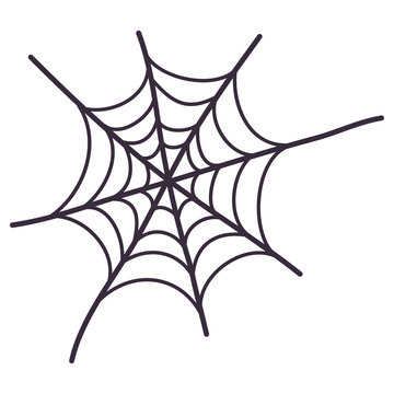 Spider web icon. Line vector illustration. Halloween holiday creepy decoration elements.
