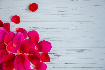 rose petals on a light wooden background. Looks like a background