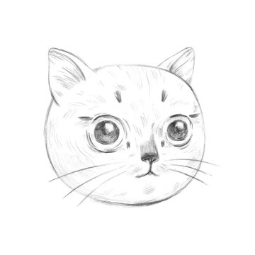 Cute cat. Hand drawn image isolated on a white background.