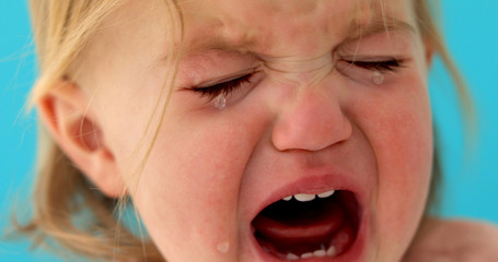 One-year-old baby cries close-up blue background. Girl has milk teeth growing