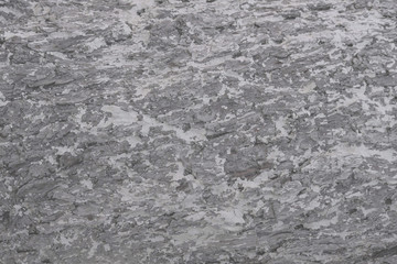 Fototapeta na wymiar Wooden texture background. Grey faded tree bark pattern close up