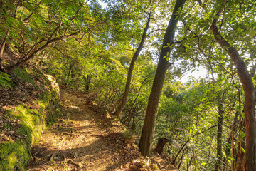 金華山　登山道　岐阜県岐阜市　Mount Kinka　Trail