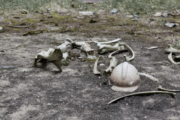 bones cooling tower of the Chernobyl