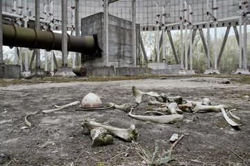 bones cooling tower of the Chernobyl