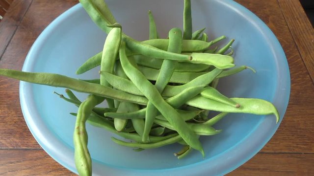Close POV overhead slow motion shot of freshly picked green runner beans being poured into a plastic bowl.