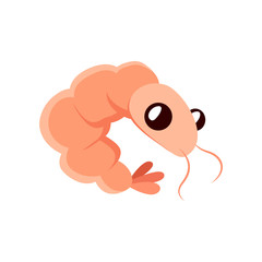 Cartoon shrimp