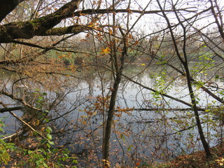 Carska bara Zrenjanin Serbia Nature Reserve Wildlife Sanctuary 