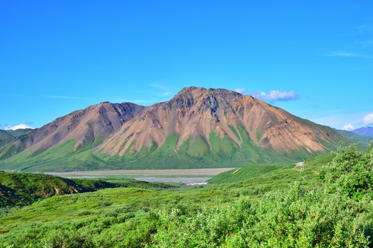 Denali National Park - Alaska 