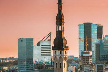 Naklejka premium Tallinn, Estonia. View Of Tower Of Tallinn Town Hall On Background Of Modern Architecture. Oldest Town Hall In Baltic Region And Scandinavia.