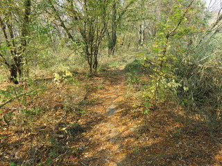 Carska bara Nature reserve Zrenjanin Serbia hiking terrain