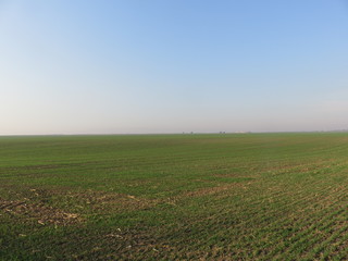 Fototapeta na wymiar Arable fertile flat land Vojvodina Serbia Landscape in autumn