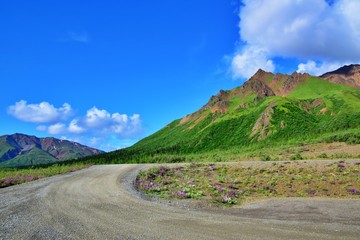 Denali National Park - Alaska 