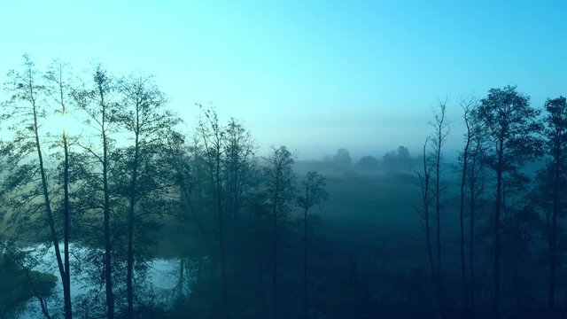 Fog above meadows near river. Nida River valley in Poland early morning view. Drone flight above river between trees .  Aerial footage. Blue romantic horizon. 