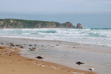 Phillip Island, Victoria, Australia