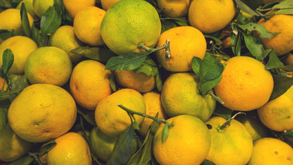 ripe tangerines close-up, top view