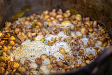 pictures with Food from a Romanian street food festival