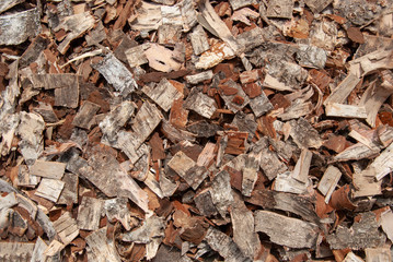 texture of finely chopped birch bark of various shapes