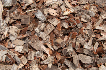 texture of finely chopped birch bark of various shapes