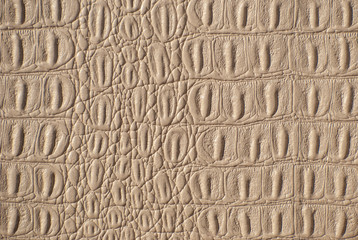 A Crocodile Texture Leather, Dark broun Background