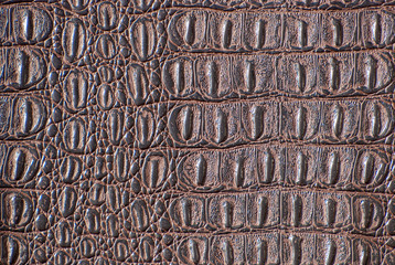 A Crocodile Texture Leather, Dark Background