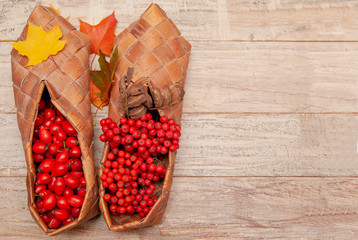 Dry multi-colored maple leaves in bast shoes lie on the table. Autumn mood