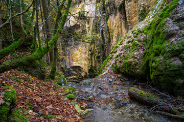 Bach Herbst Wasserfall