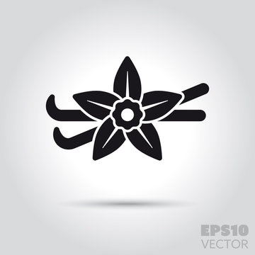 vanilla blossom and pods vector icon
