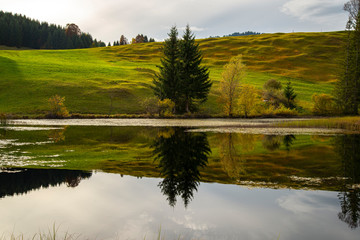 Tannenbäume See Spiegelung Tannheimer Tal