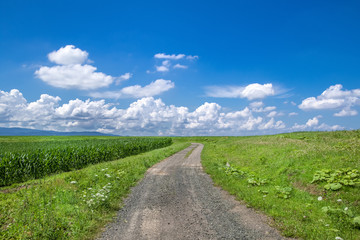 北海道の雄大な風景