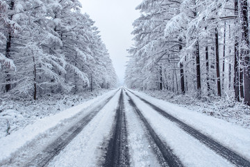 雪道