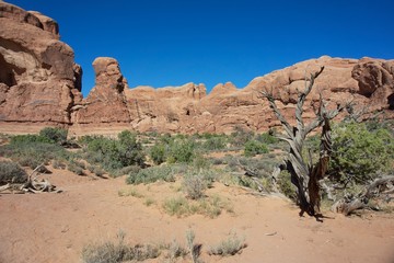 Rocks at Arches National Park, Utah